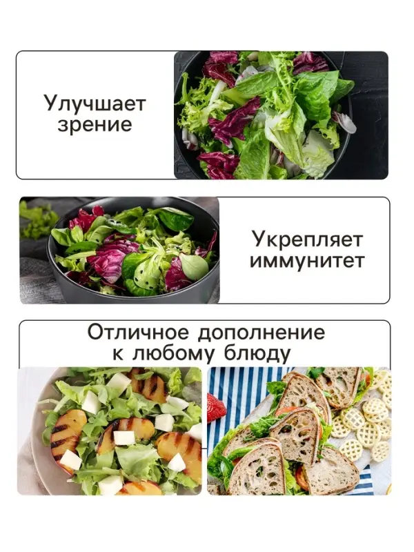 Семена Салат кочанный "Всесезонка", 0,5 г