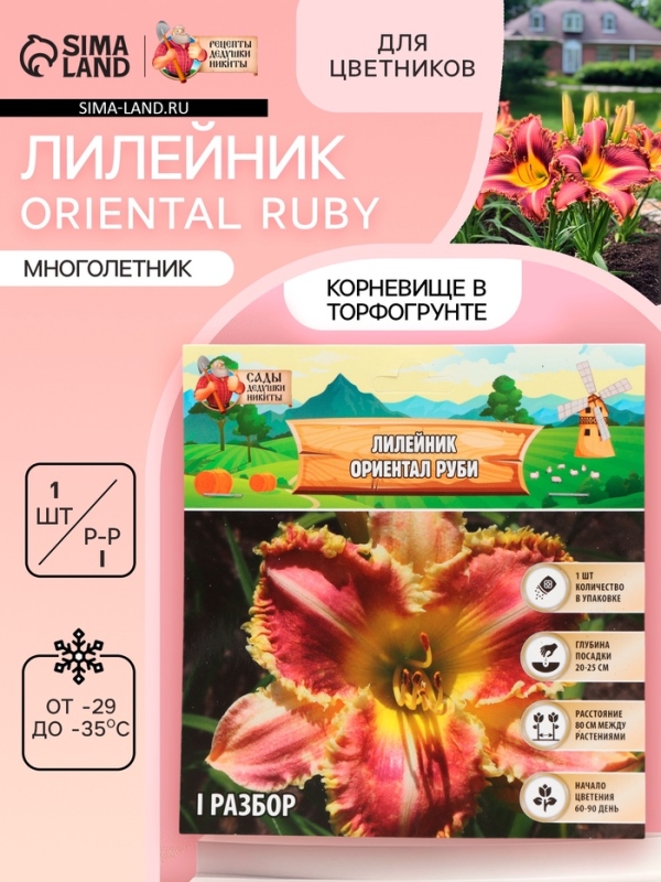 Лилейник Oriental Ruby, многолетник, корневище в пакете с торфогрунтом, р-р I, 1 шт.