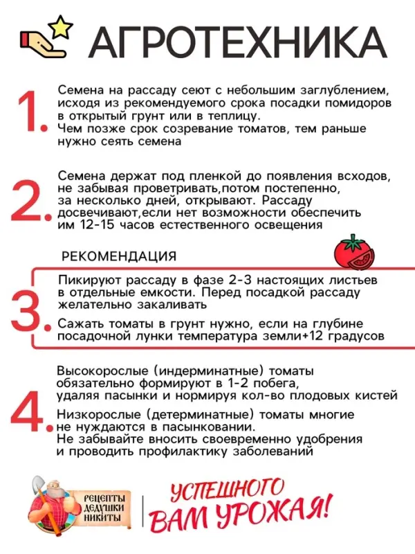 Семена Томат "Розовый гигант", 0,1 г