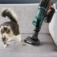 Беспроводной пылесос X-Force Flex 12.60 Neo TY9L42WO