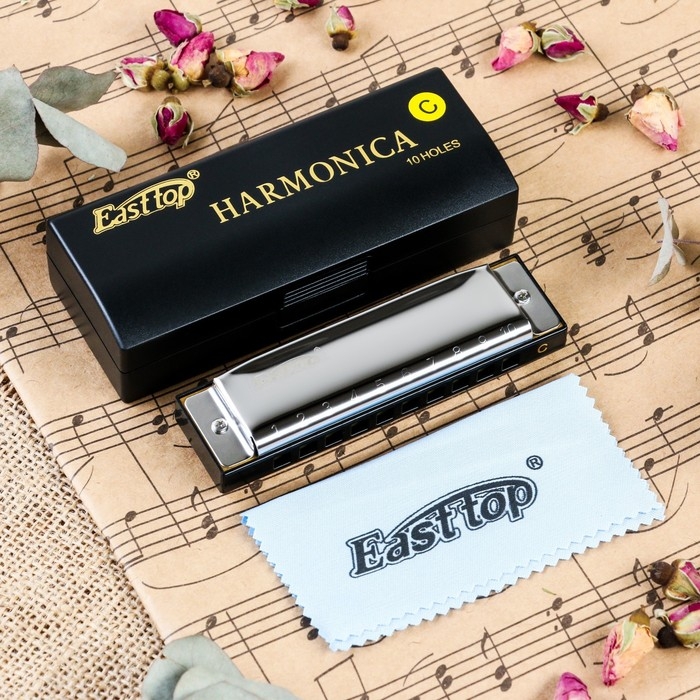 Губная гармошка Music Life T10-3 диатоническая, 10 отверстий, с футляром Губная гармошка Music Life T10-3 диатоническая, 10 отверстий, с футляром