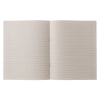 Комплект тетрадей из 20 штук, 24 листа в линию КПК "Зелёная обложка", блок №2, белизна 75% (серые листы)