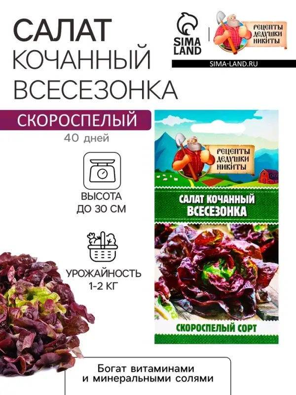 Семена Салат кочанный "Всесезонка", 0,5 г