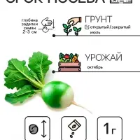 Семена Редька "Маргеланская", 1 г