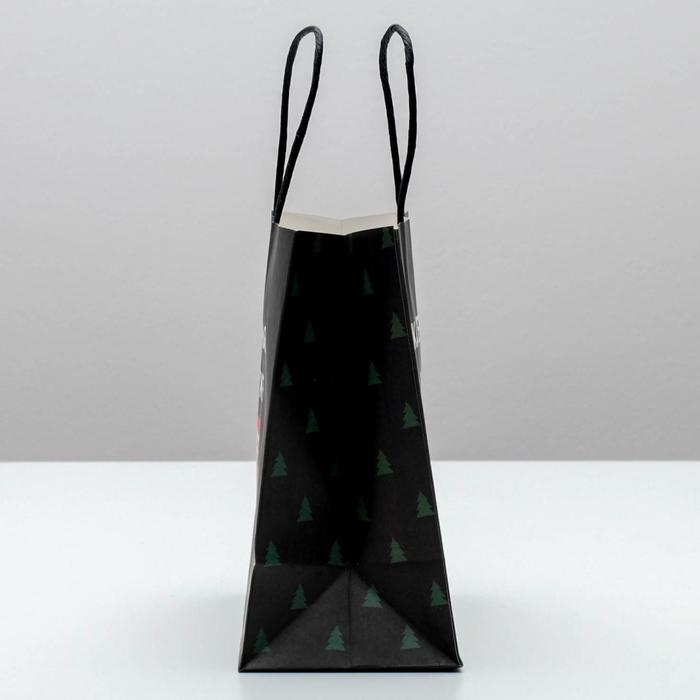 Пакет подарочный новогодний «А ты уже синяя», 22 х 22 х 11 см, Новый год Пакет подарочный новогодний «А ты уже синяя», 22 х 22 х 11 см, Новый год