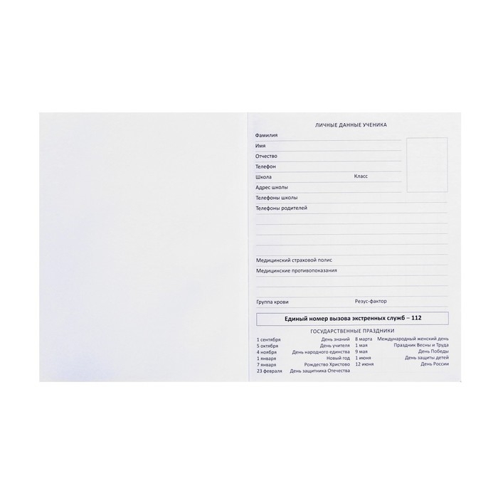 Дневник универсальный для 1-11 классов &laquo;Герб&raquo;, твёрдая обложка, искусственная кожа, тиснение фольгой, ляссе, тонированный блок, 48 листов