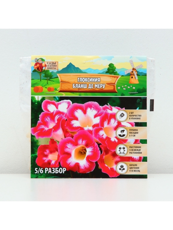 Глоксиния &laquo;Бланш де Меру&raquo;, многолетник, комнатный, луковица в пакете с перфорацией, р-р 5/6, 2 шт.