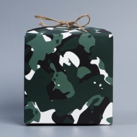 Коробка подарочная складная, упаковка, &laquo;23 февраля&raquo;, 12 х 12 х 12 см