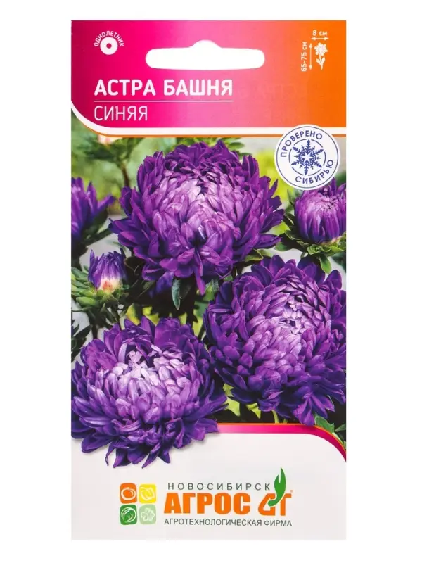 Семена Астра Башня Синяя 0,3 г