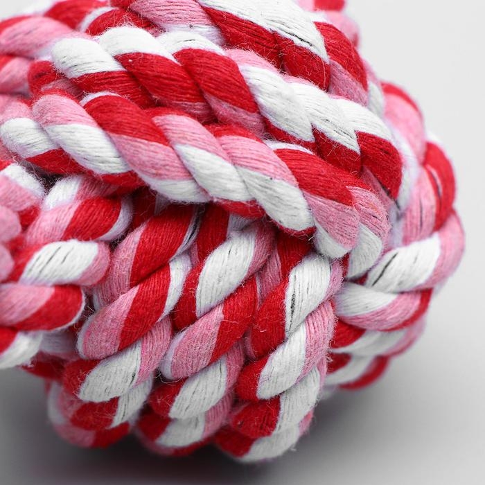 Игрушка тренировочная канатная Игрушка тренировочная канатная "Гантель", 180 г, микс цветов