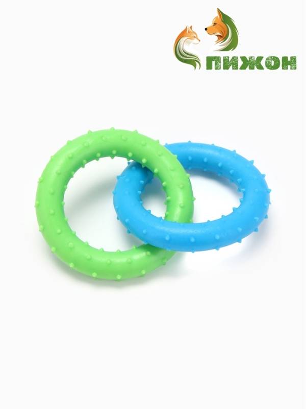 Игрушка жевательная суперпрочная "Два кольца", зелёная/синяя