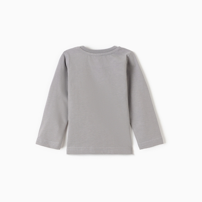 Лонгслив для мальчика, цвет серый, рост 74 см Лонгслив для мальчика, цвет серый, рост 74 см