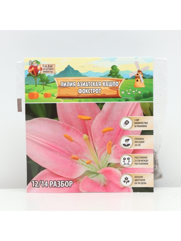 Лилия Азиатская Кашпо Foxtrot, луковица в пакете с перфорацией, р-р 12/14, 2 шт.