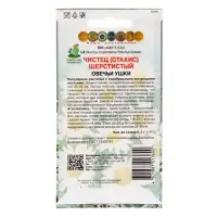 Семена цветов Чистец шерстистый &laquo;Овечьи ушки&raquo;, 0.1 г