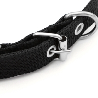 Ошейник "Комфорт" комбинированный (полиэстер, искусственная кожа), 45 х 2 см, ОШ 33-39 см, чёрный 60 Ошейник "Комфорт" комбинированный (полиэстер, искусственная кожа), 45 х 2 см, ОШ 33-39 см, чёрный 60