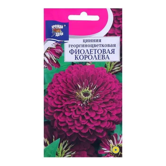 Семена цветов Цв Цинния георгин. "Фиолетовая королева",0,3 гр