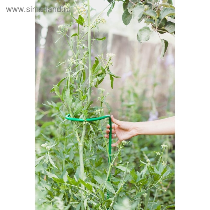 Кустодержатель для цветов, d = 20 см, h = 120 см, ножка d = 1 см, металл, зелёный Кустодержатель для цветов, d = 20 см, h = 120 см, ножка d = 1 см, металл, зелёный