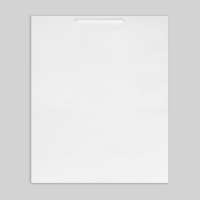 Пакет подарочный ламинированный, упаковка, &laquo;Белый&raquo;, 40 х 49 х 15 см