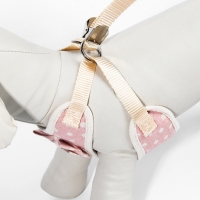 Комплект с мягкой шлейкой "Горох", размер М, поводок 120 х 1,5 см, ОГ 34-66 см, розовый Комплект с мягкой шлейкой "Горох", размер М, поводок 120 х 1,5 см, ОГ 34-66 см, розовый