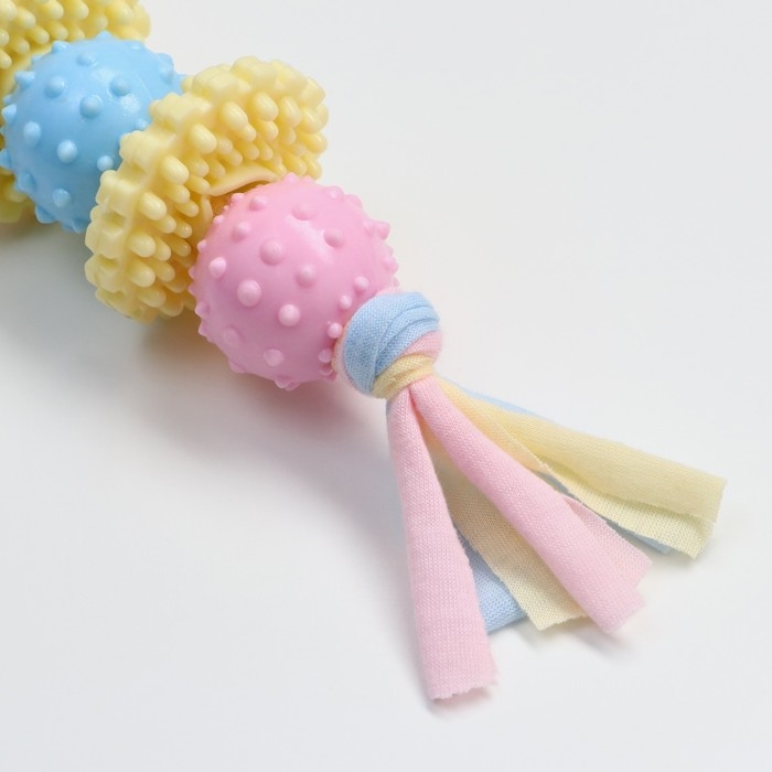 Игрушка жевательная Пижон Premium на верёвке, 5 элементов, термопластичная резина, микс Игрушка жевательная Пижон Premium на верёвке, 5 элементов, термопластичная резина, микс