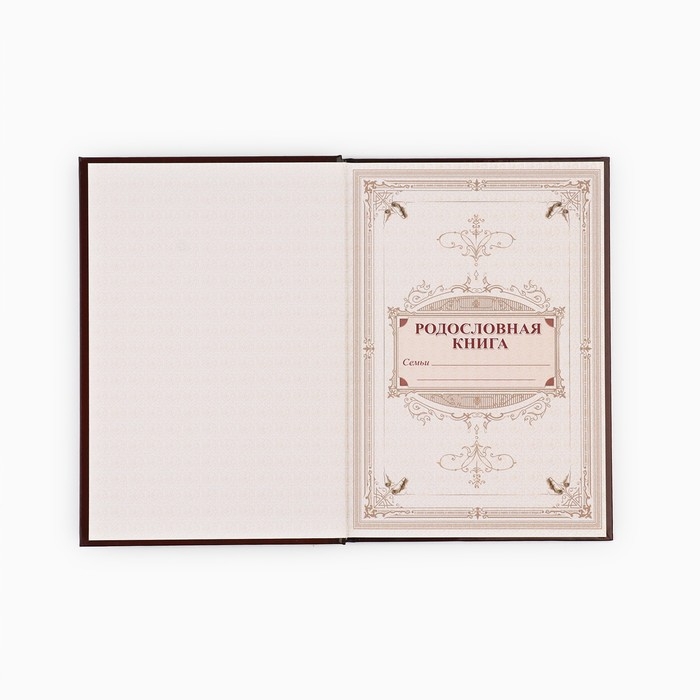 Родословная книга в шкатулке с деревом &laquo;Книга моей семьи&raquo;, 20 х 26 см.