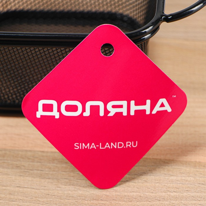 Корзинка для картофеля фри Доляна &laquo;Пулита&raquo;, 10,8&times;9,4&times;6,2 см, мелкая сетка, цвет чёрный