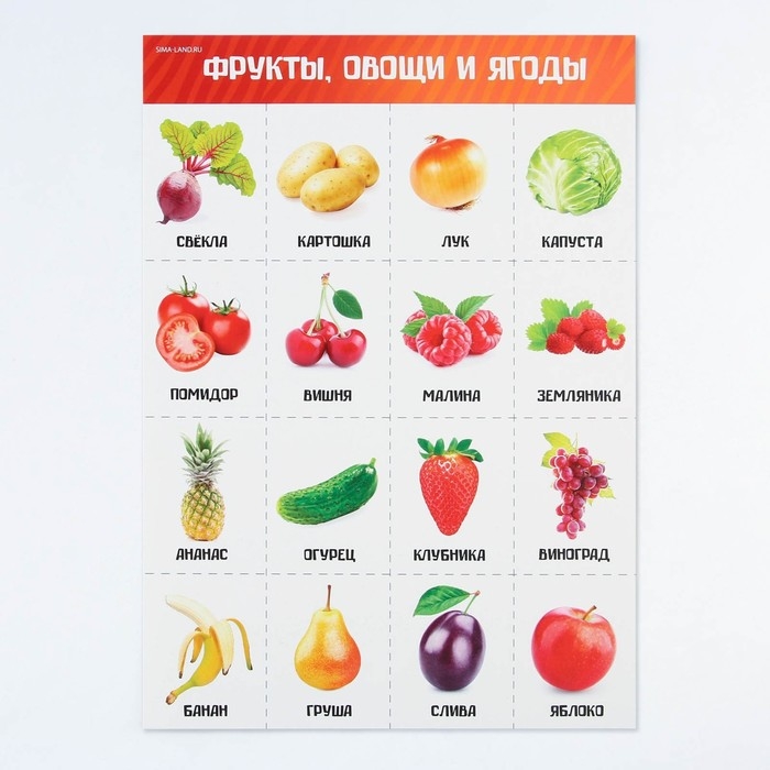 Набор обучающих плакатов &laquo;Изучаем мир&raquo;, 10 в 1, А4