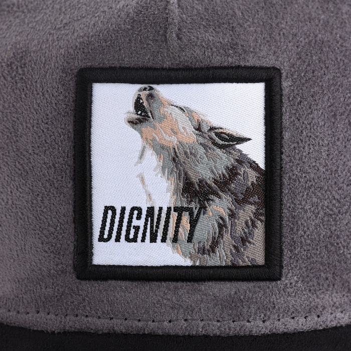 Кепка мужская с сеткой DIGNITY, цвет чёрный, р-р 56