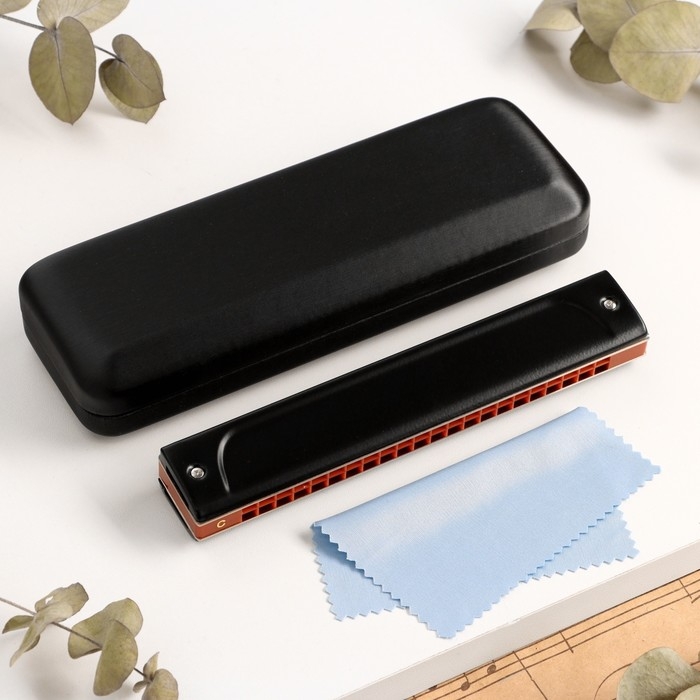 Губная гармошка Music Life T22K тремоло, с футляром Губная гармошка Music Life T22K тремоло, с футляром