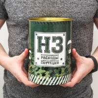 Копилка XXL &laquo;НЗ&raquo;, 20 х 12,5 см