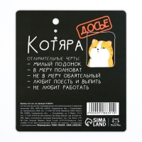 Брелок для ключей акриловый &laquo;Котик&raquo;, 6 х 5,4 см