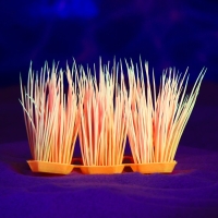 Растение искусственное аквариумное, светящееся, 9 см, красное Растение искусственное аквариумное, светящееся, 9 см, красное