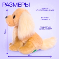 Мягкая игрушка «Собака золотистый ретривер», 20 см Мягкая игрушка «Собака золотистый ретривер», 20 см