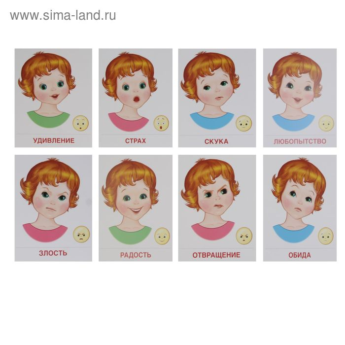 Демонстрационные картинки "Чувства и эмоции" 16 картинок с текстом, 173х220мм