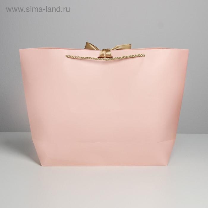 Пакет подарочный, упаковка, &laquo;Present for you&raquo;, 30 х 27.5 х 12 см