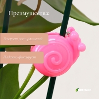 Клипса для растений &laquo;Улитка&raquo;, набор 10 шт., МИКС, Greengo