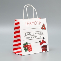 Пакет подарочный новогодний крафтовый &laquo;Молодец&raquo;, 22 х 22 х 11 см, Новый год