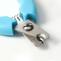 Когтерез боковой малый с закругленными резиновыми ручками,отверстие 8 мм,чёрный с голубым Когтерез боковой малый с закругленными резиновыми ручками,отверстие 8 мм,чёрный с голубым