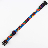 Ошейник &laquo;Невозможно слиться с улицей&raquo;, застёжка - фастекс, 2.5 см, 40-55 см