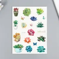 Переводные тату на тело цветные &laquo;Бабочки. Суккуленты&raquo;, 24&times;14.5 см, МИКС