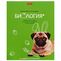 Комплект предметных тетрадей 48 листов, 12 предметов Hatber &laquo;Мой любимый предмет&raquo;, обложка мелованный картон, ламинация Soft-touch, с интерактивным сп...