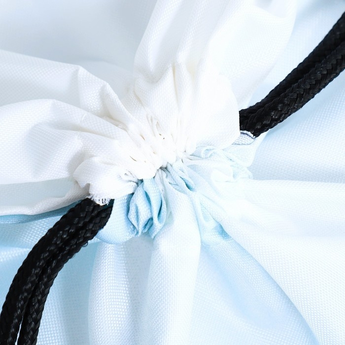 Мешок для обуви &laquo;Милый котик&raquo; 2 секции, 30&times;40 см