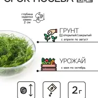 Семена Укроп &laquo;Супердукат ОЕ&raquo;, 2 г