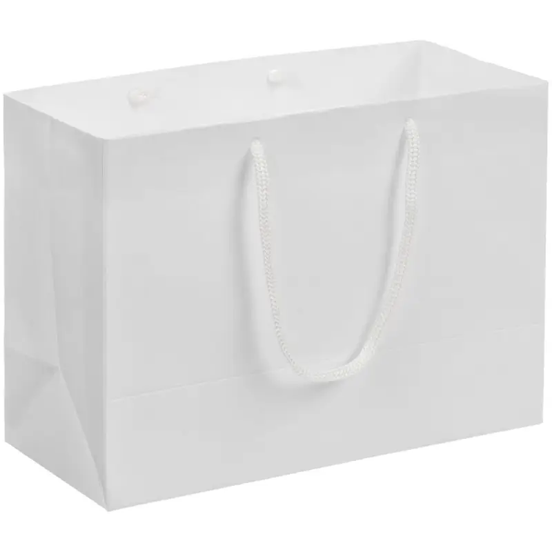 Пакет бумажный &laquo;Крафт&raquo;, S, белый