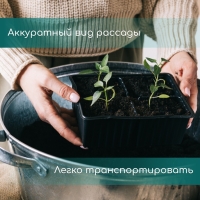 Кассета для рассады, на 9 ячеек, по 80 мл, пластиковая, чёрная, 18 &times; 13 &times; 6 см, Greengo