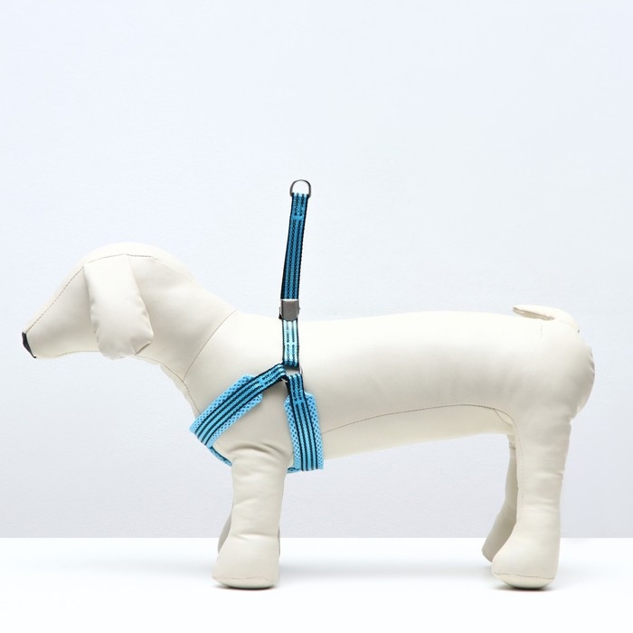 Шлейка супермягкая со светоотражающей прошивкой, размер М, обхват 32-63 см, голубая