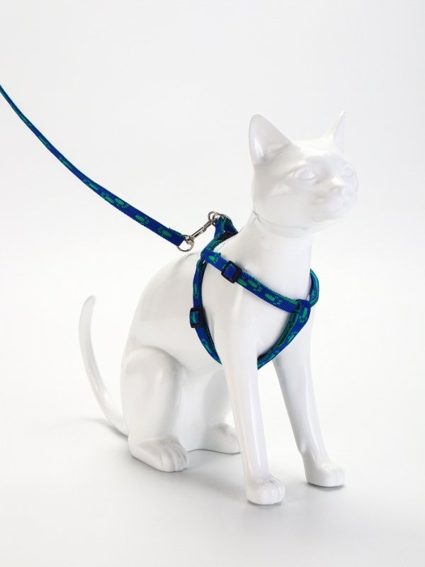 Комплект  "Большая лапа", ширина 1 см, поводок  120 см, шлейка 25-36 см, сине-зелёный