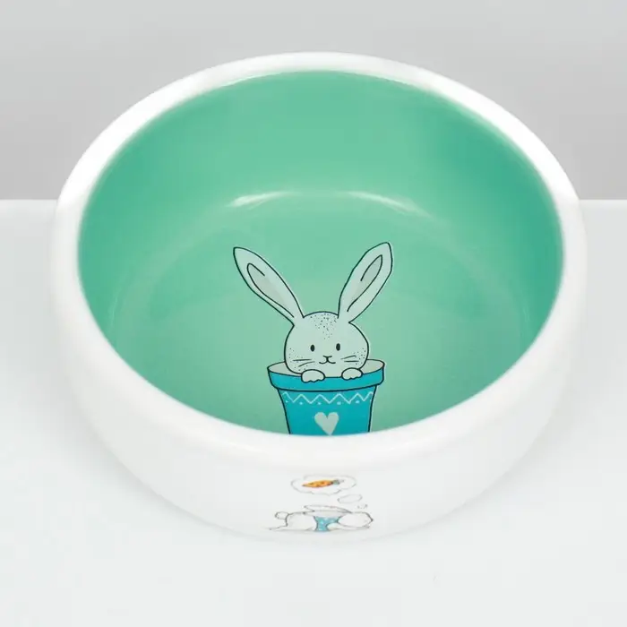 Миска керамическая для кроликов 200 мл  10 х 3,7 см, мятная/белая