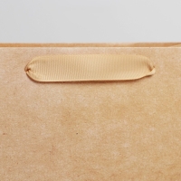 Пакет подарочный ламинированный, упаковка, &laquo;Крафтовый&raquo;, MS 18 х 23 х 10 см