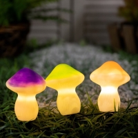 Садовый светильник на солнечной батарее «Грибы», 21 см, 3 LED, свечение тёплое белое Садовый светильник на солнечной батарее «Грибы», 21 см, 3 LED, свечение тёплое белое